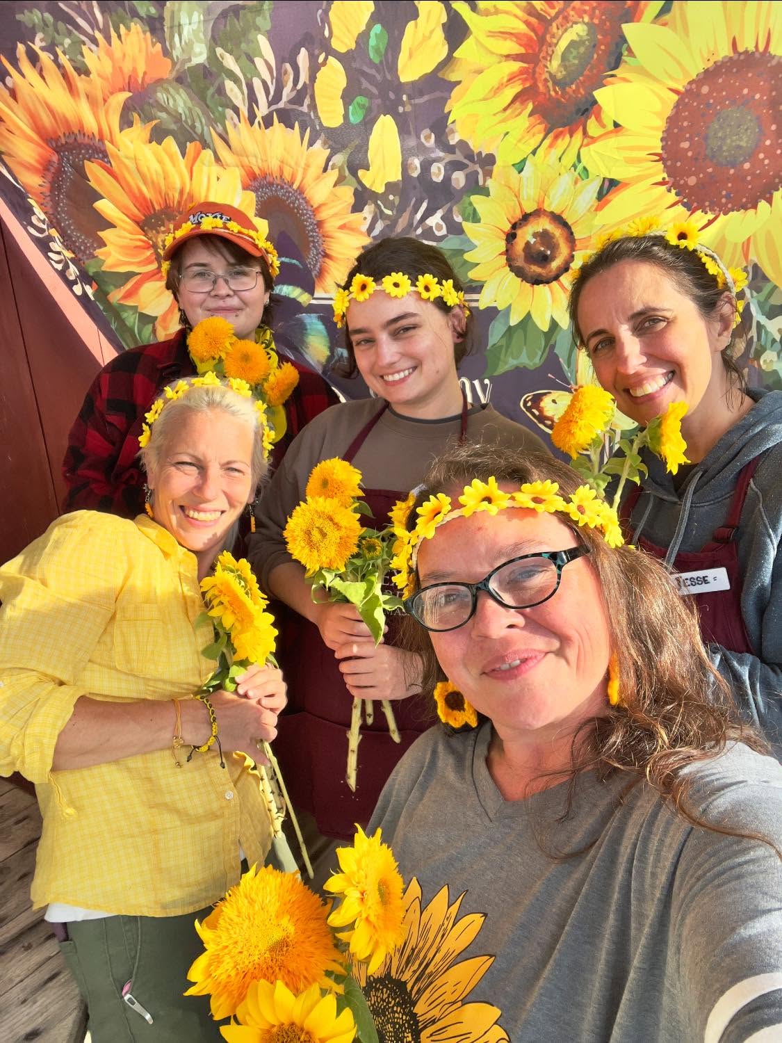 apex orchards sunflowers
