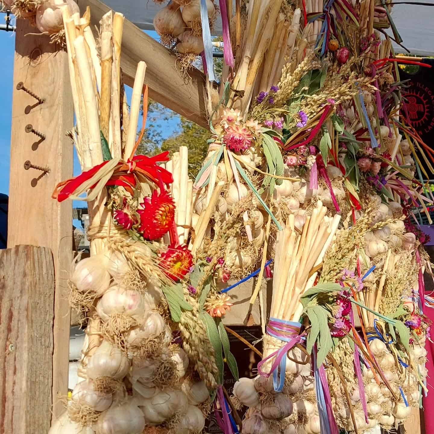 garlic and arts festival