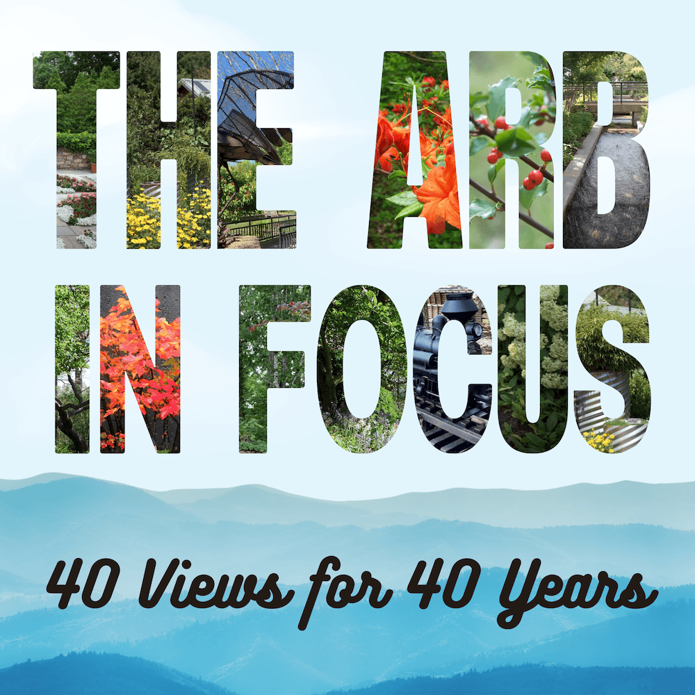 Arb in focus NC Arboretum