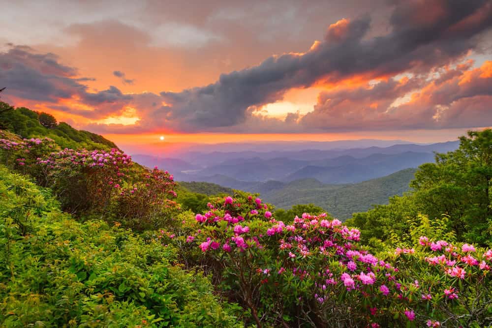 Asheville Mountain Real Estate