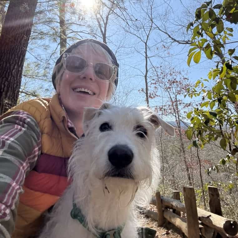 Asheville Real Estate Ren Mosaic