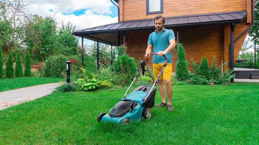 Asheville Summer Lawn Maintenance