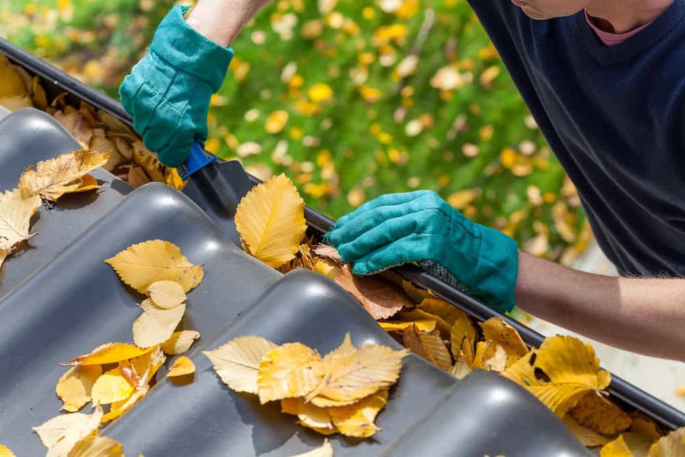 Fall Home Maintenance Asheville