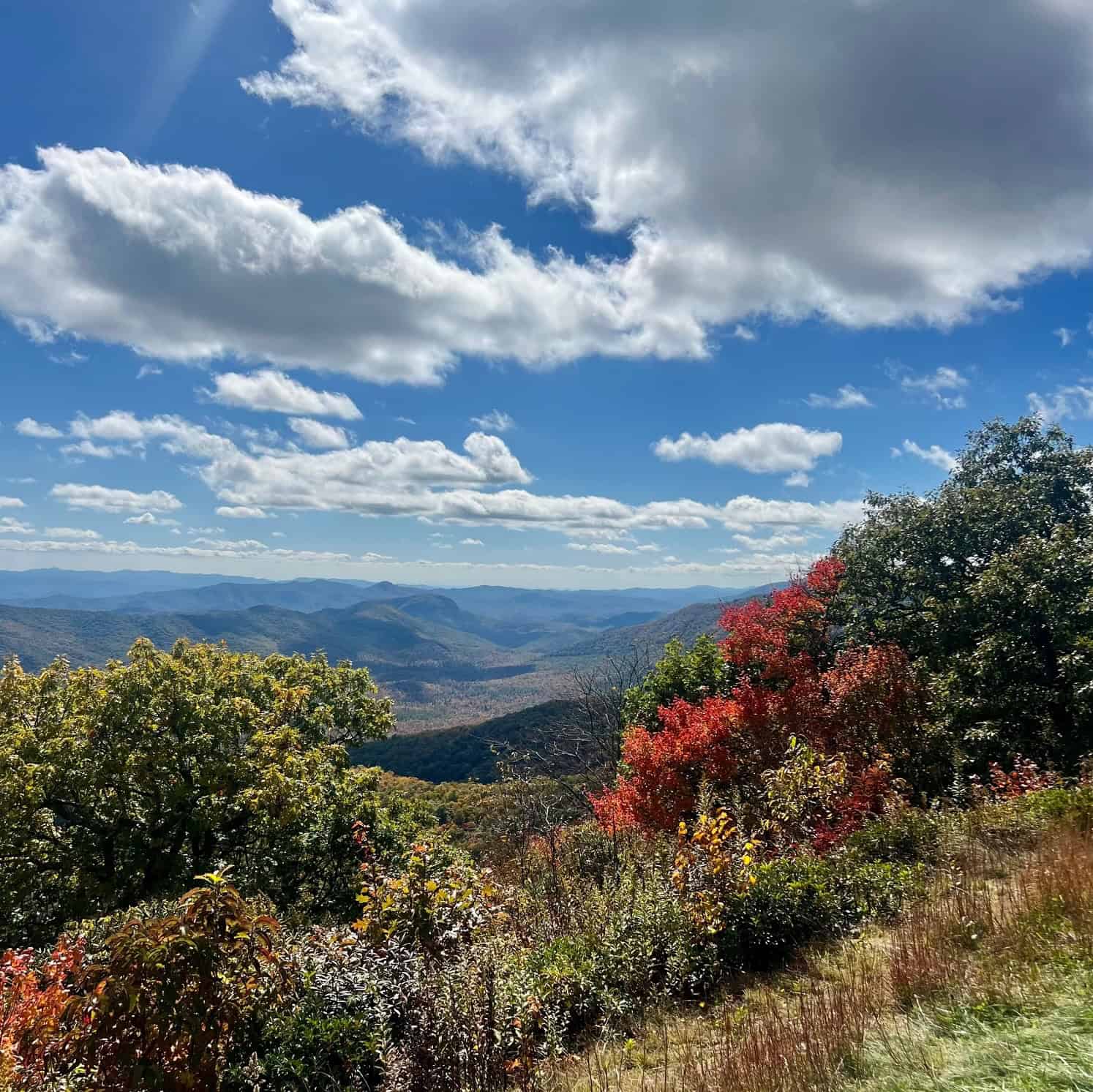 Fall in Asheville