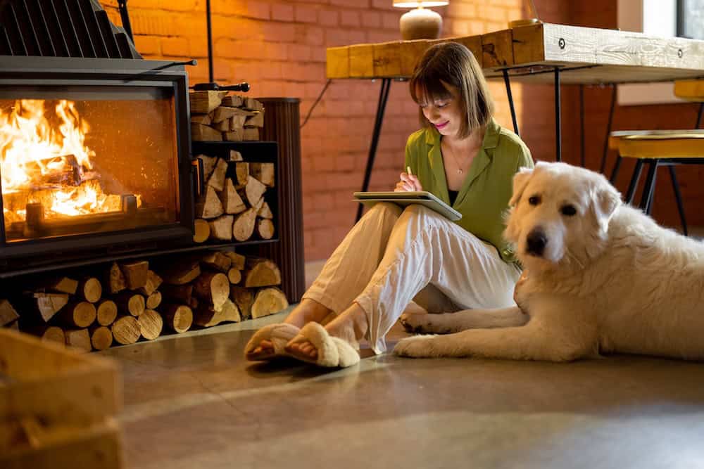 Fireplace Inspections Asheville