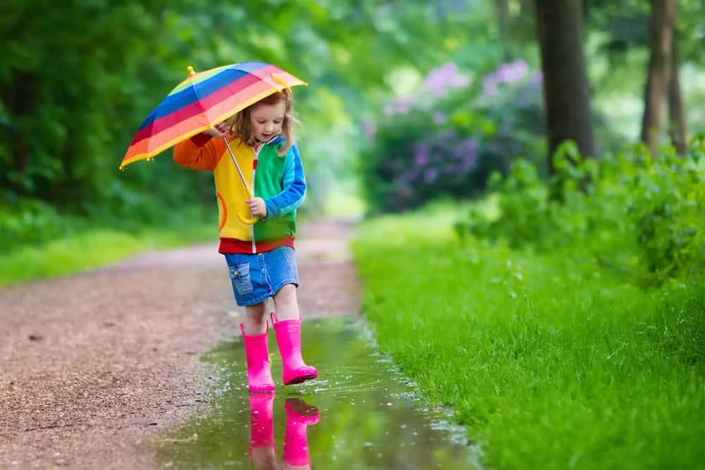 Flood Insurance in Asheville NC
