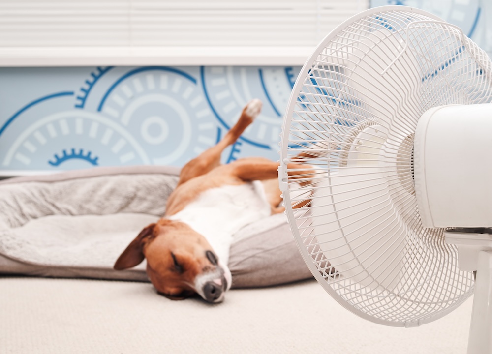 Keeping your WNC Home Cool in Summer