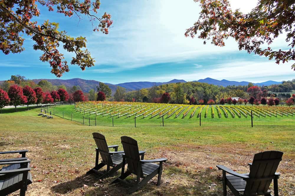 People Moving to WNC