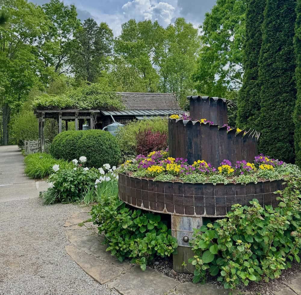 Spring Blooms in Asheville