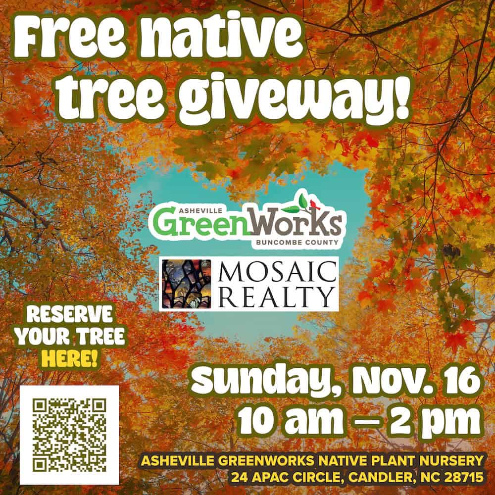 Tree giveaway Asheville