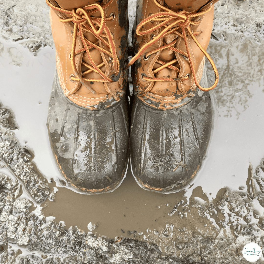 LL Bean Boots on a muddy day in Maine