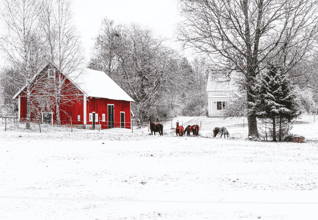 New England Farmhouse in the Winter