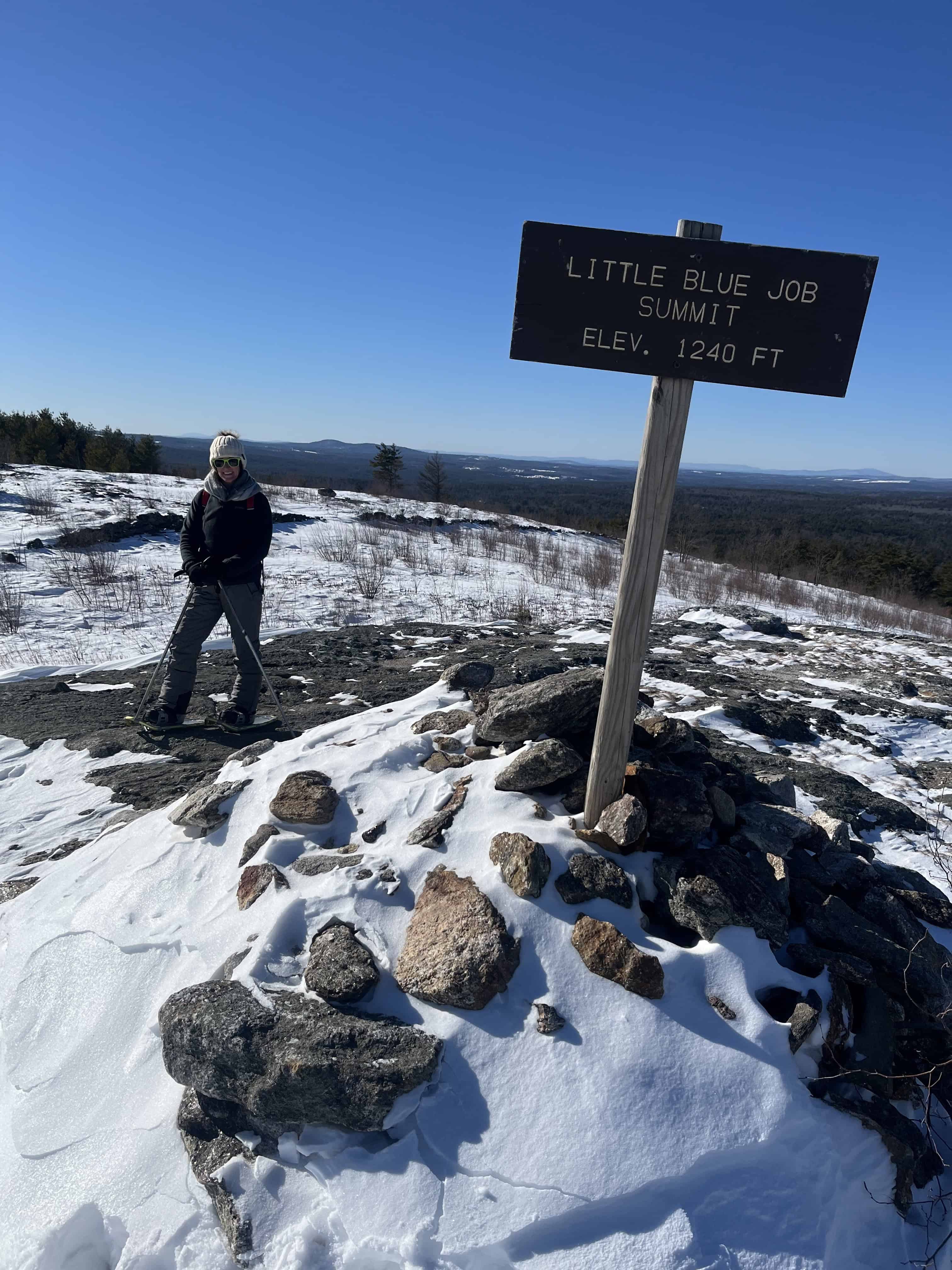 Little Blue Job Summit
