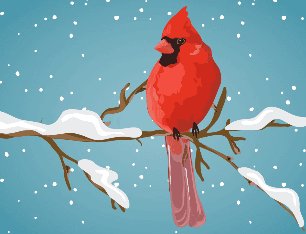 Red Cardinal in Winter