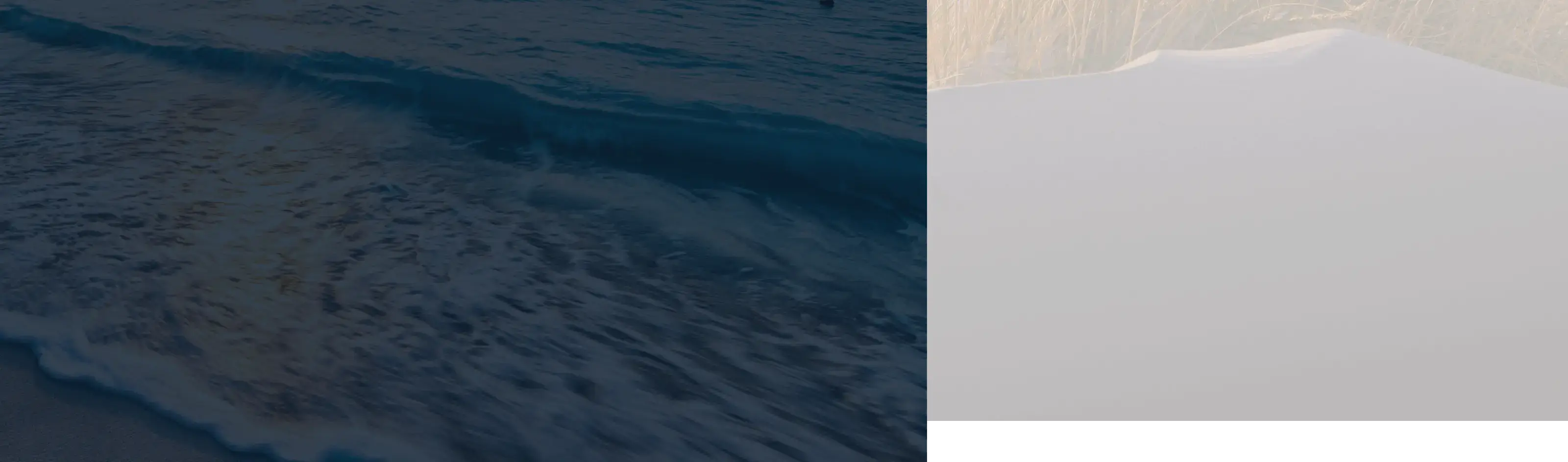 water with blue overlay on the left and san on the beach with gray overlay on the right