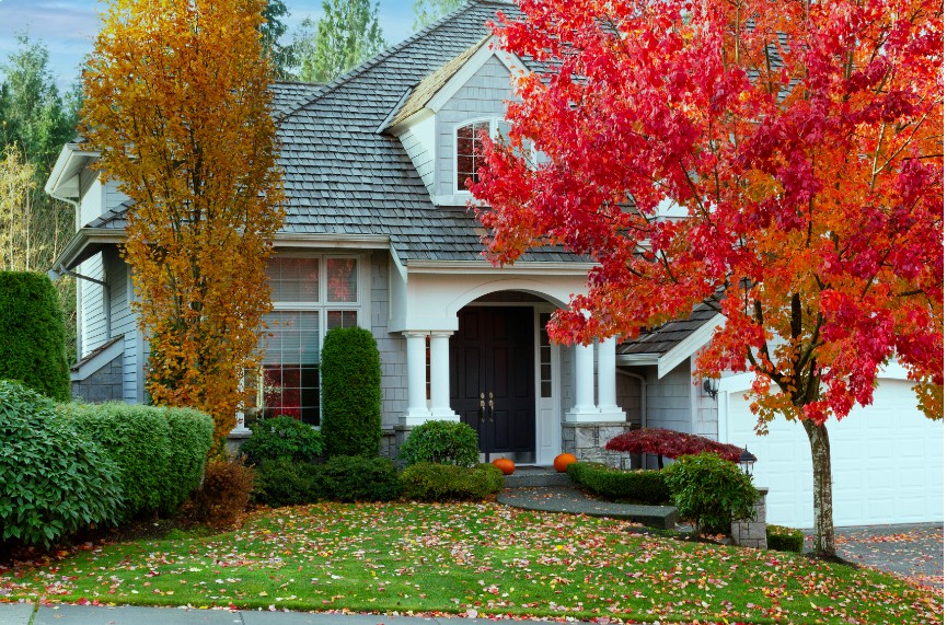 Single-Family Homes