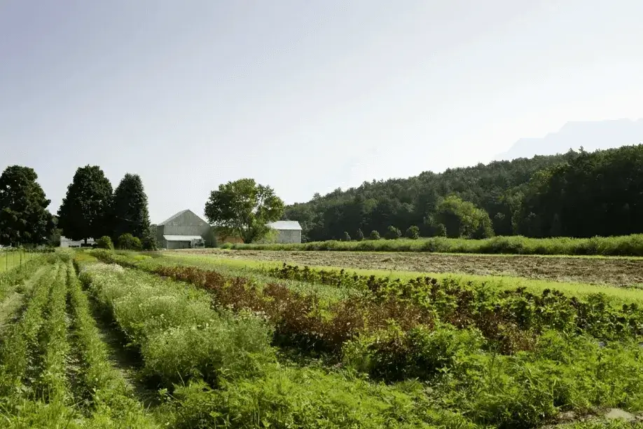 Pioneer Valley