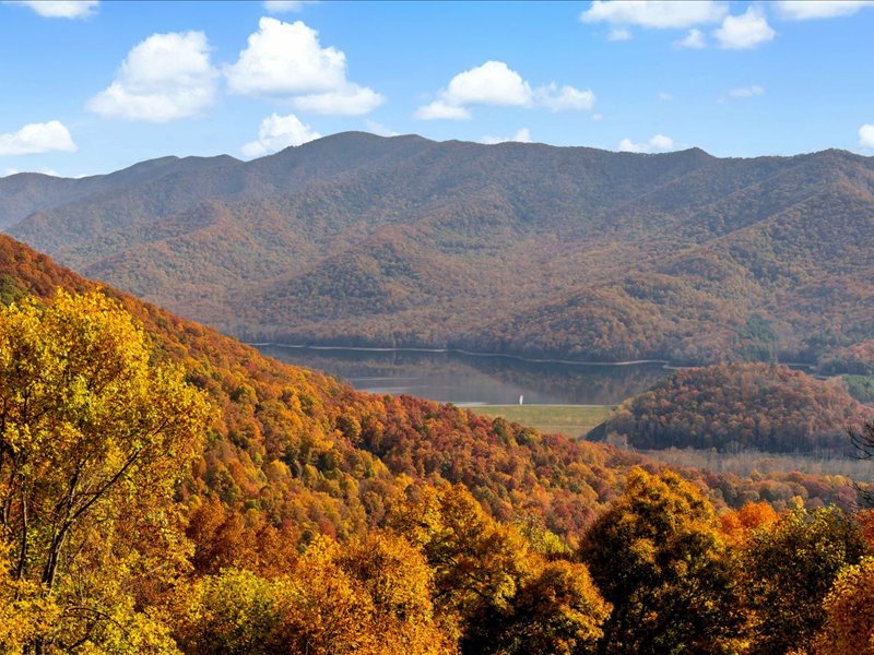 Fall leaf season in Buncombe County