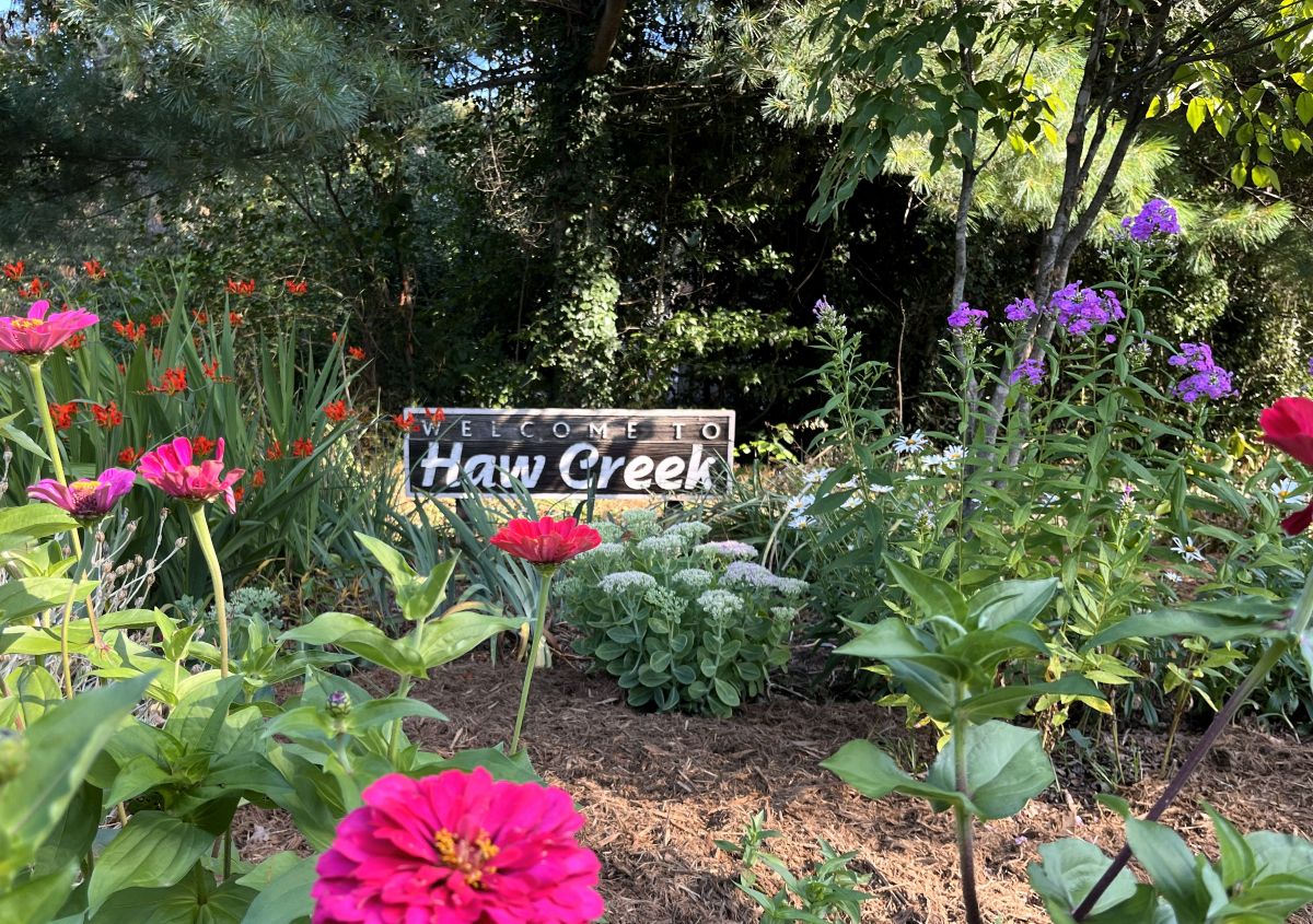 Haw Creek Asheville NC Haw Creek in Asheville NC