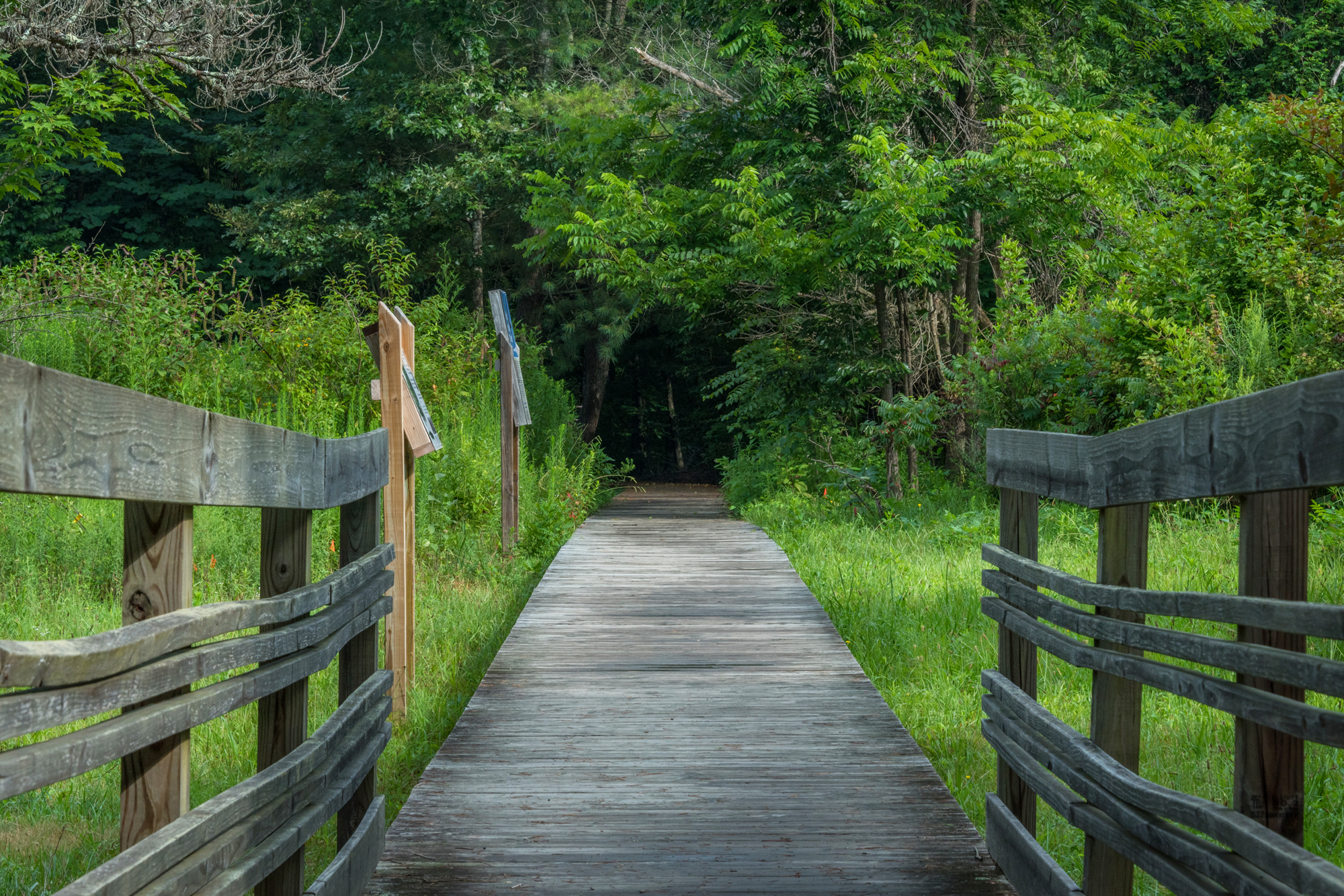 Beaver Dam Bird Sanctuary