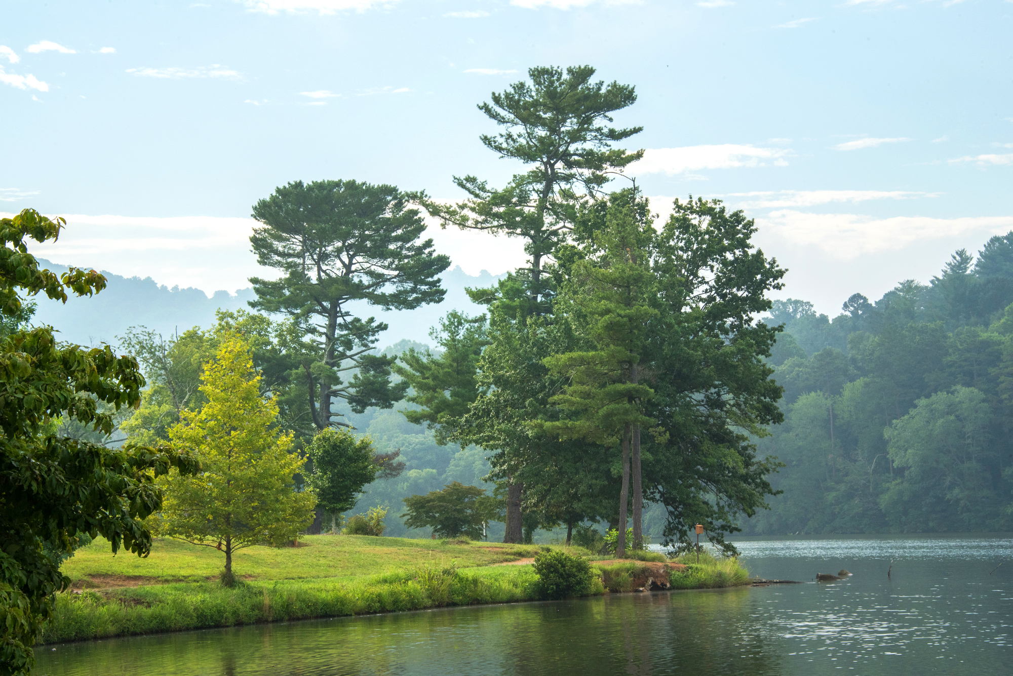 Riceville Rural land