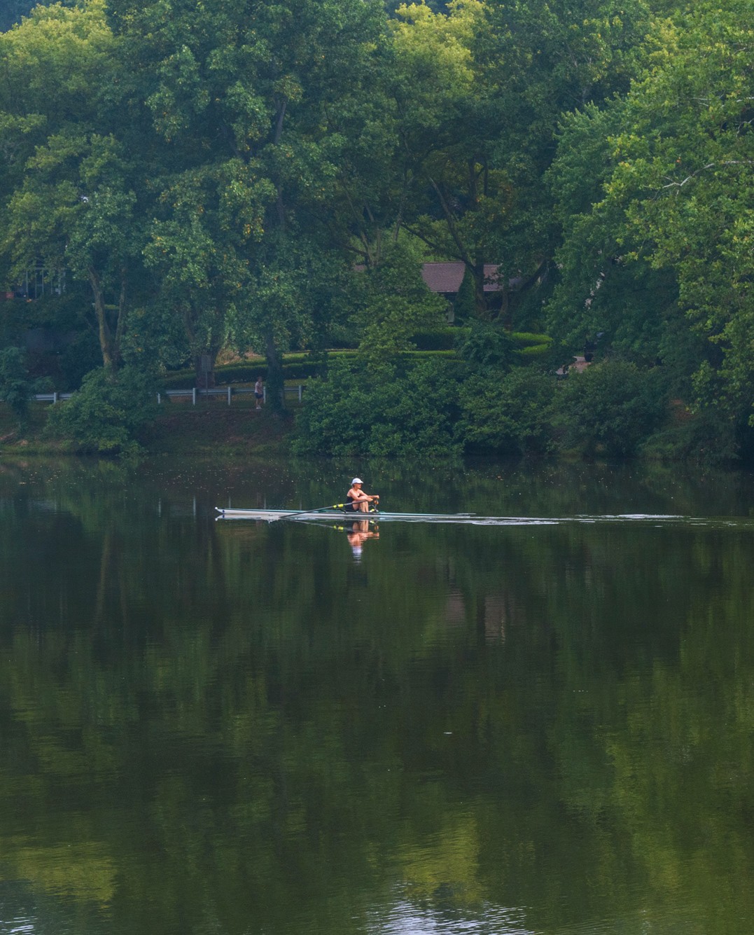 Paddle boarding on Beaver Lake in Asheville NC