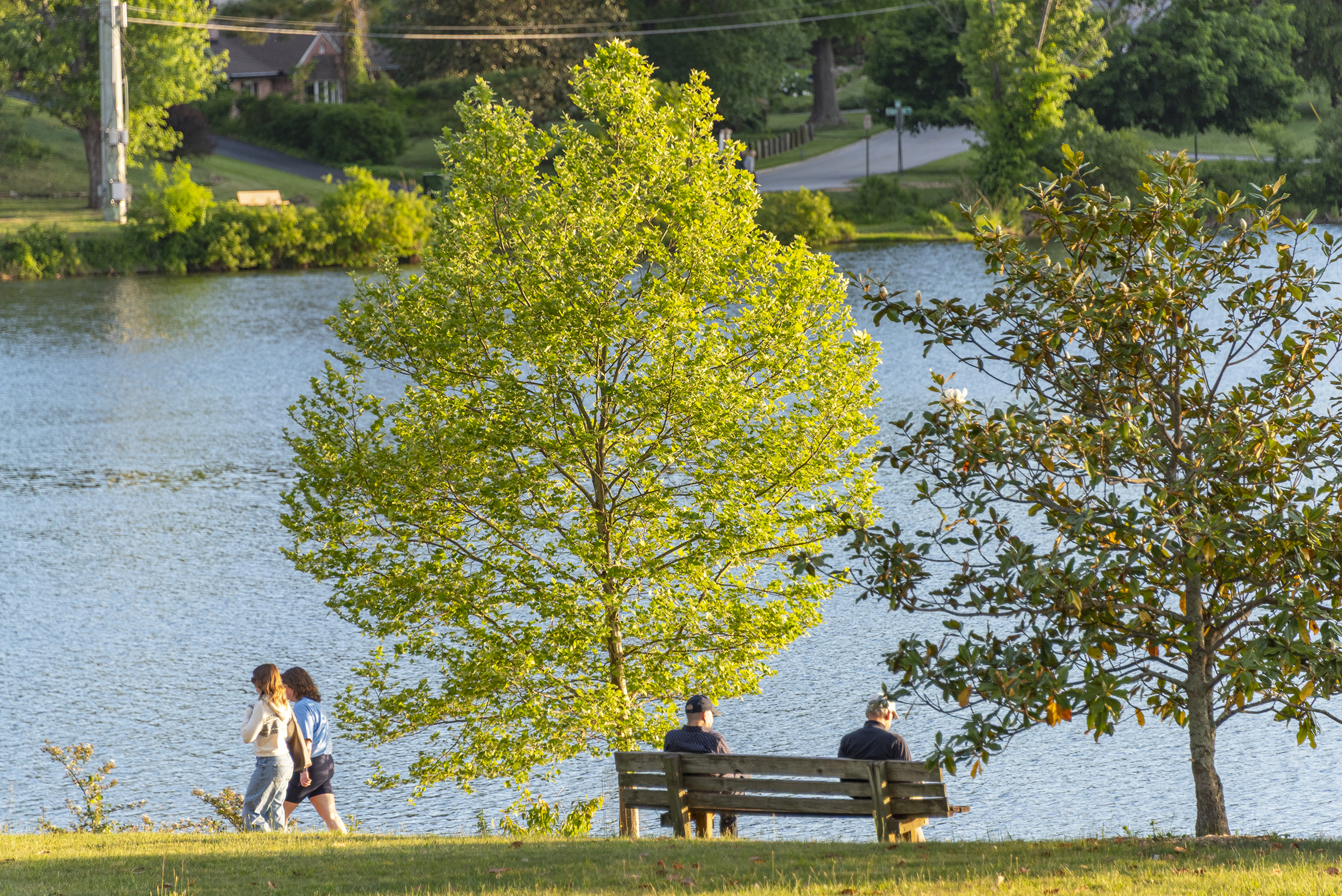 Beaver Lake