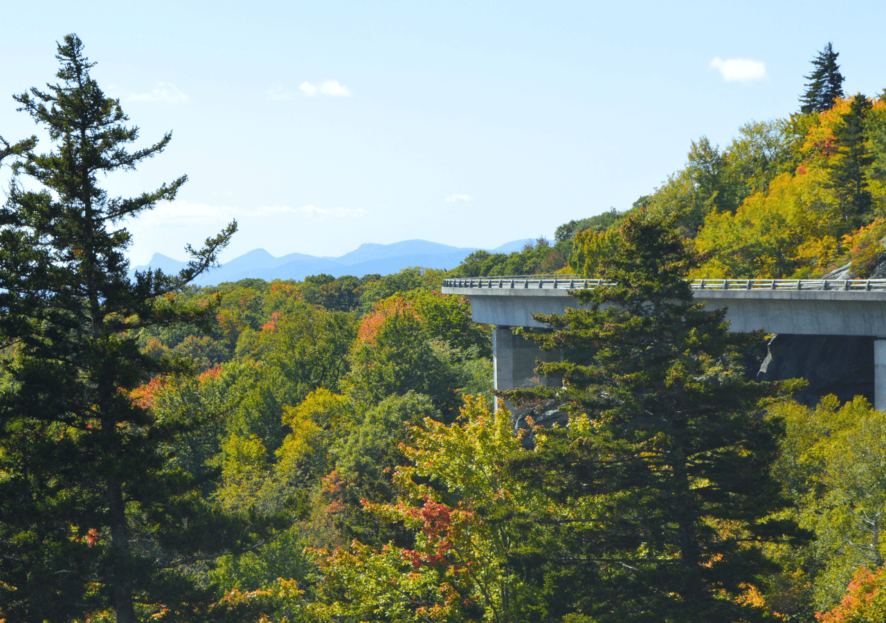 Blue Ridge Parkway hiking trails near Asheville NC