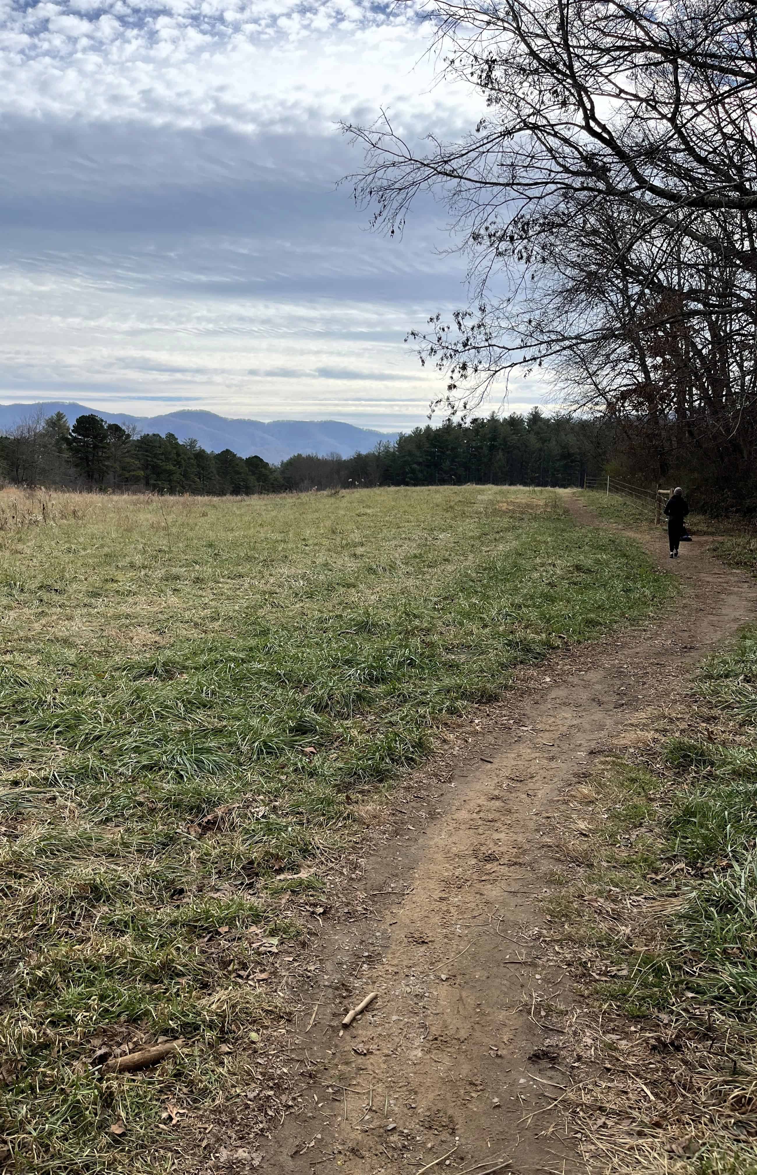 Warren Wilson College Hiking Trails