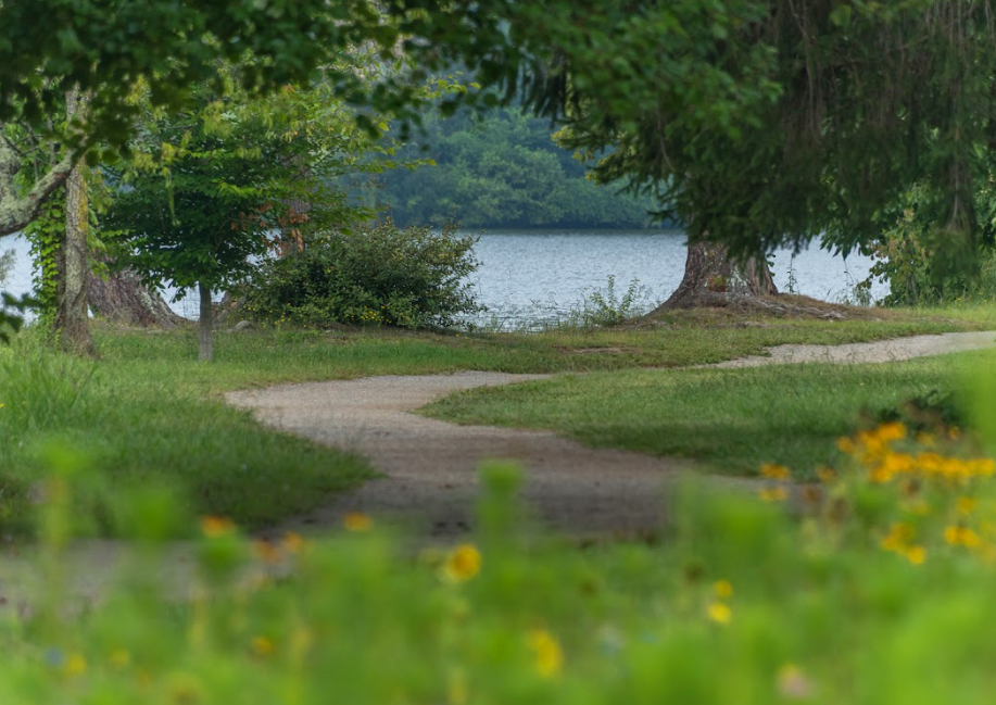 Beaver Lake, Asheville NC
