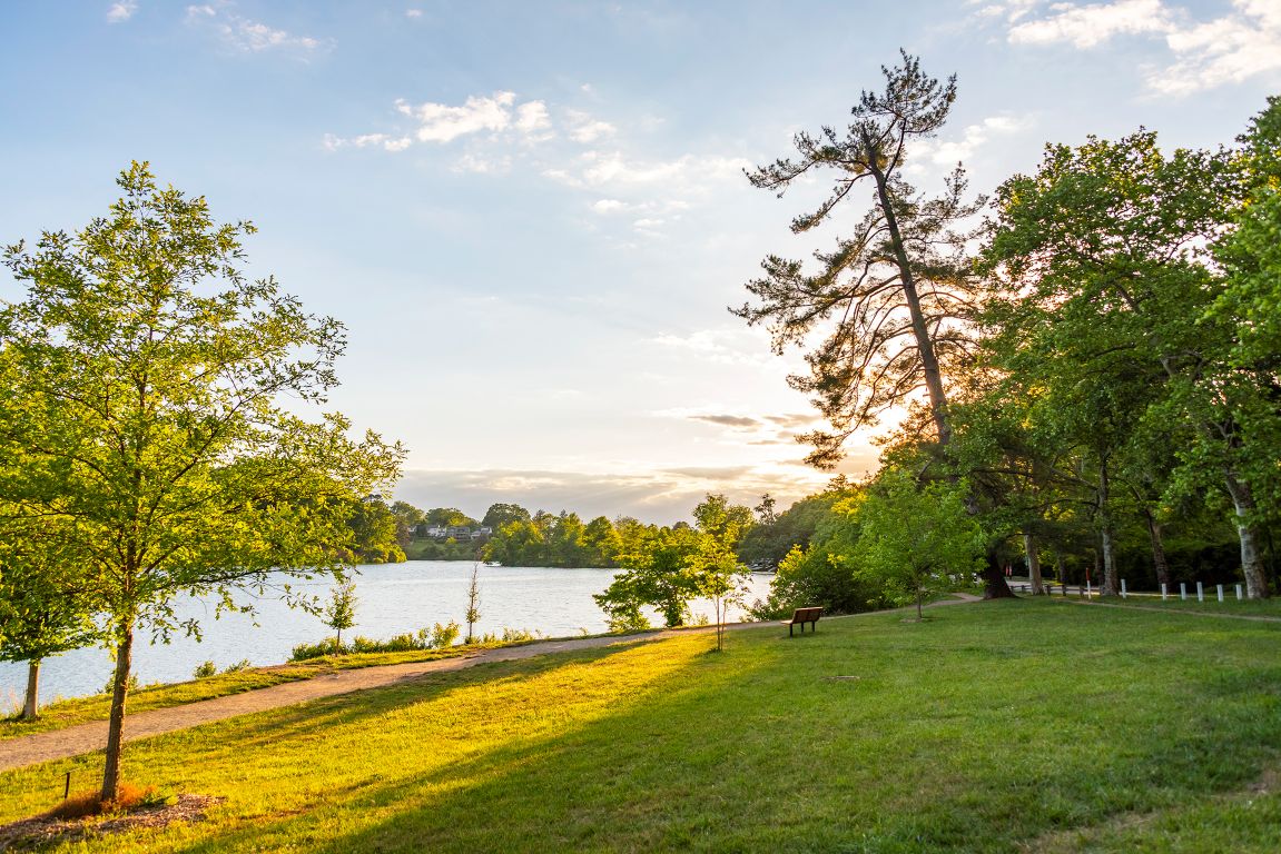Grace Neighborhood in North Asheville North Asheville - Beaver Lake