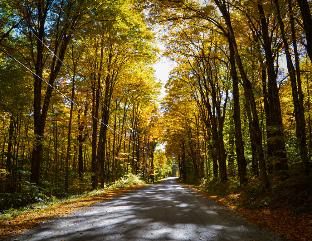 Country Road in Southern VT