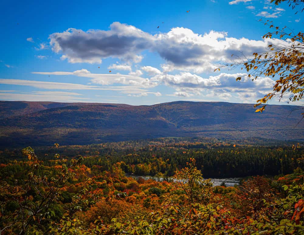 Pond in Manchester VT
