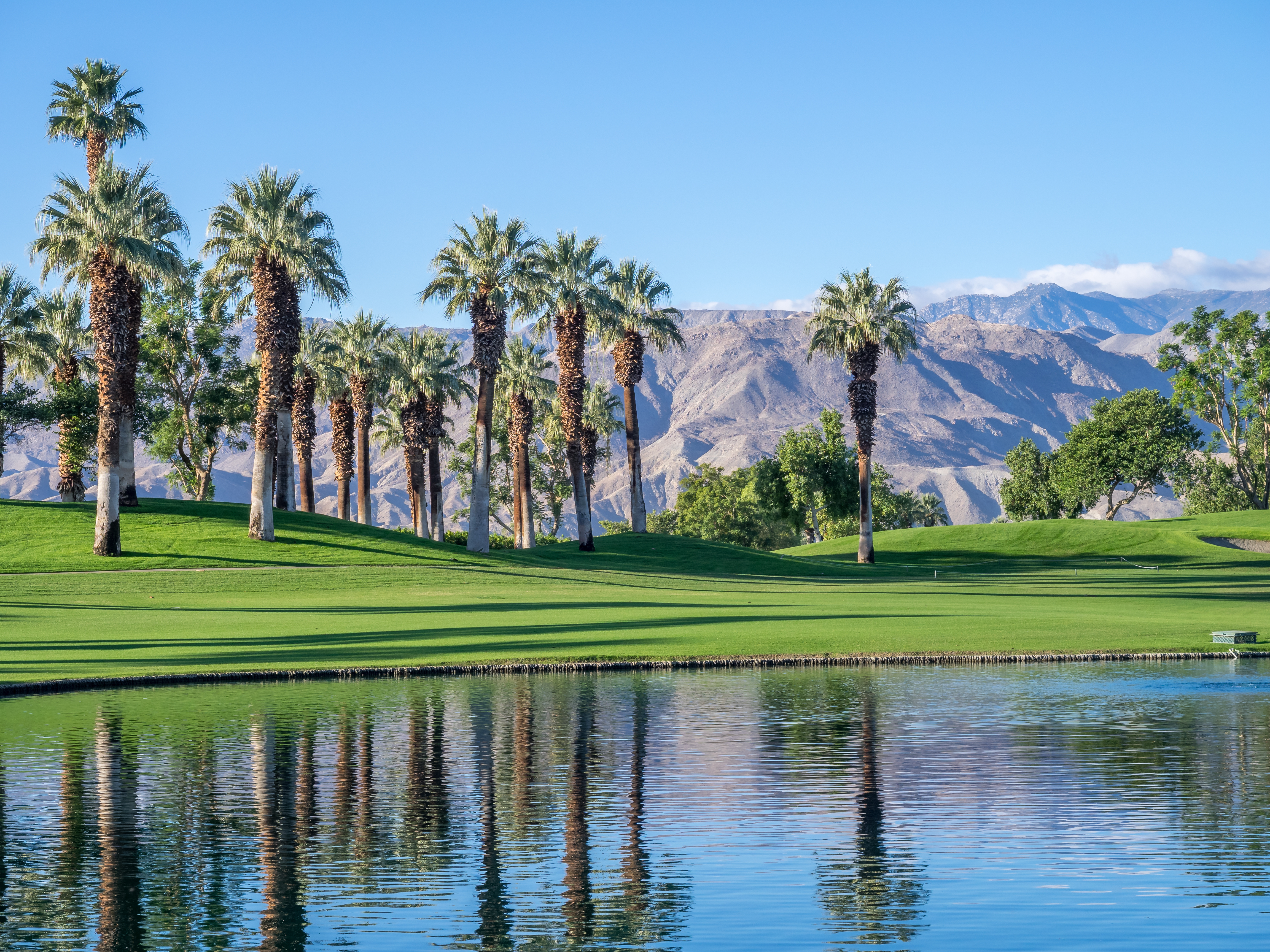 PalmDesert