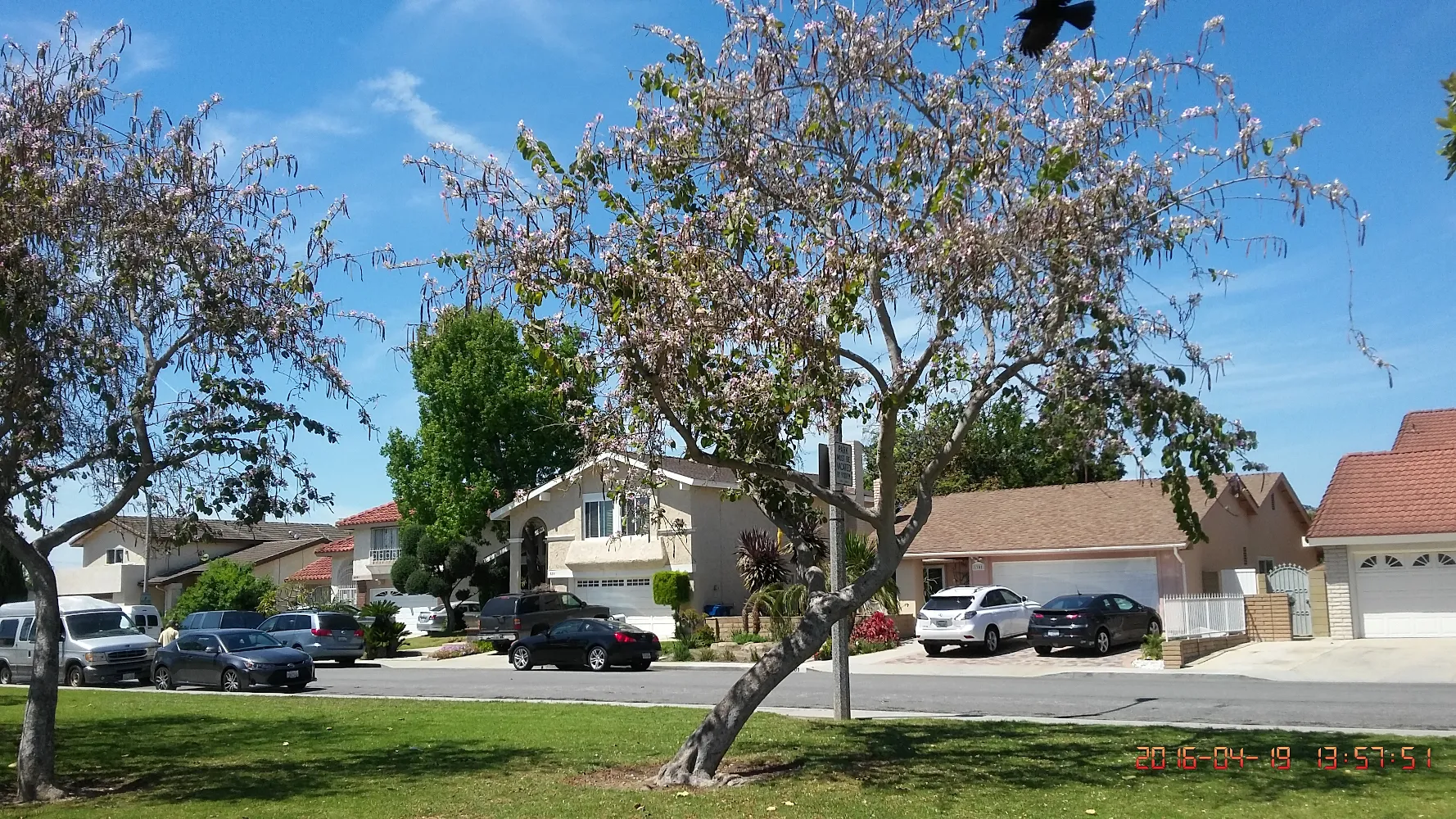Westminster CA
