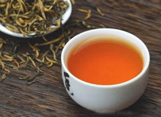 1215_spicelab