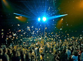 The Donkey Show