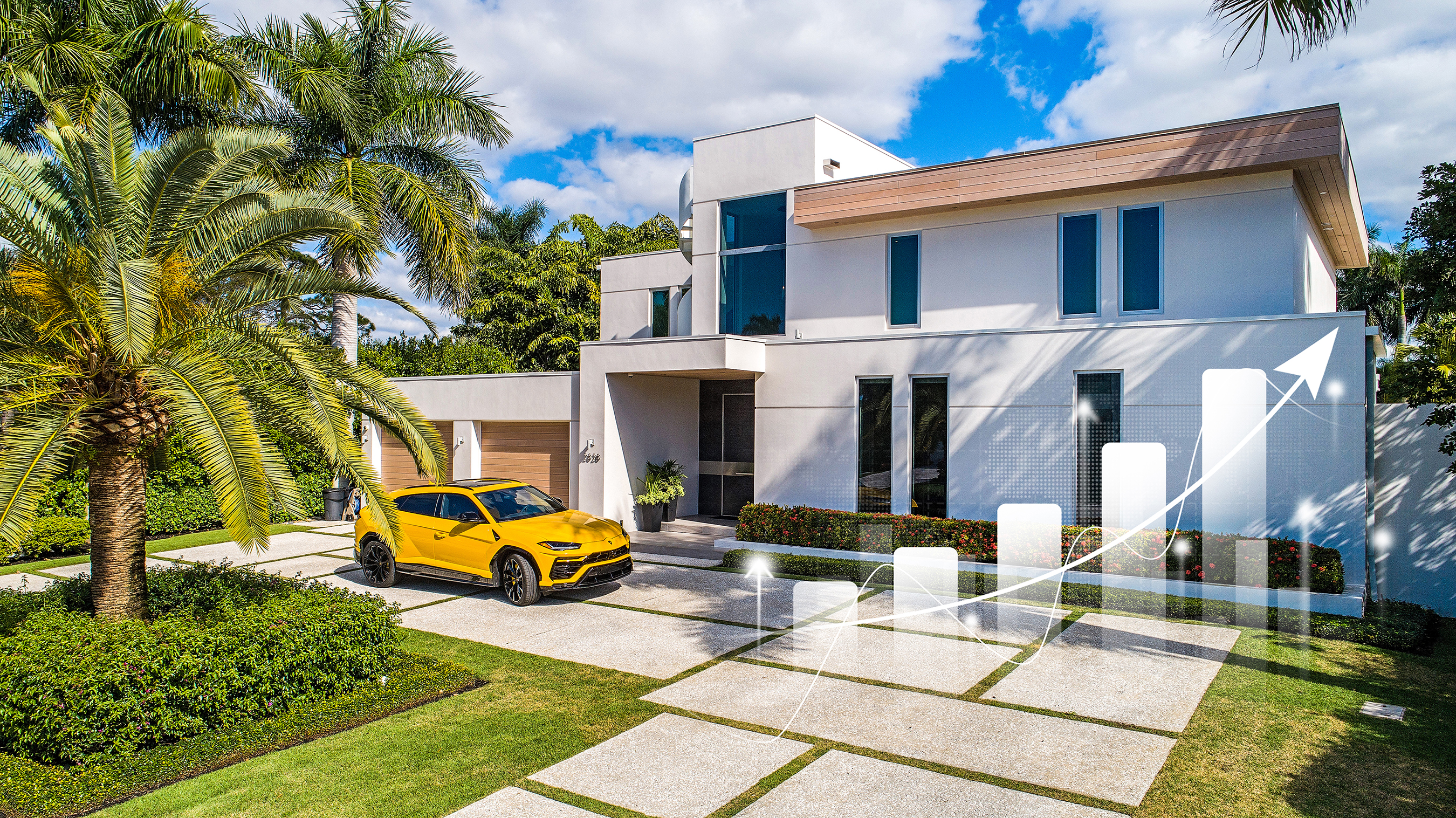 Palms and beach view