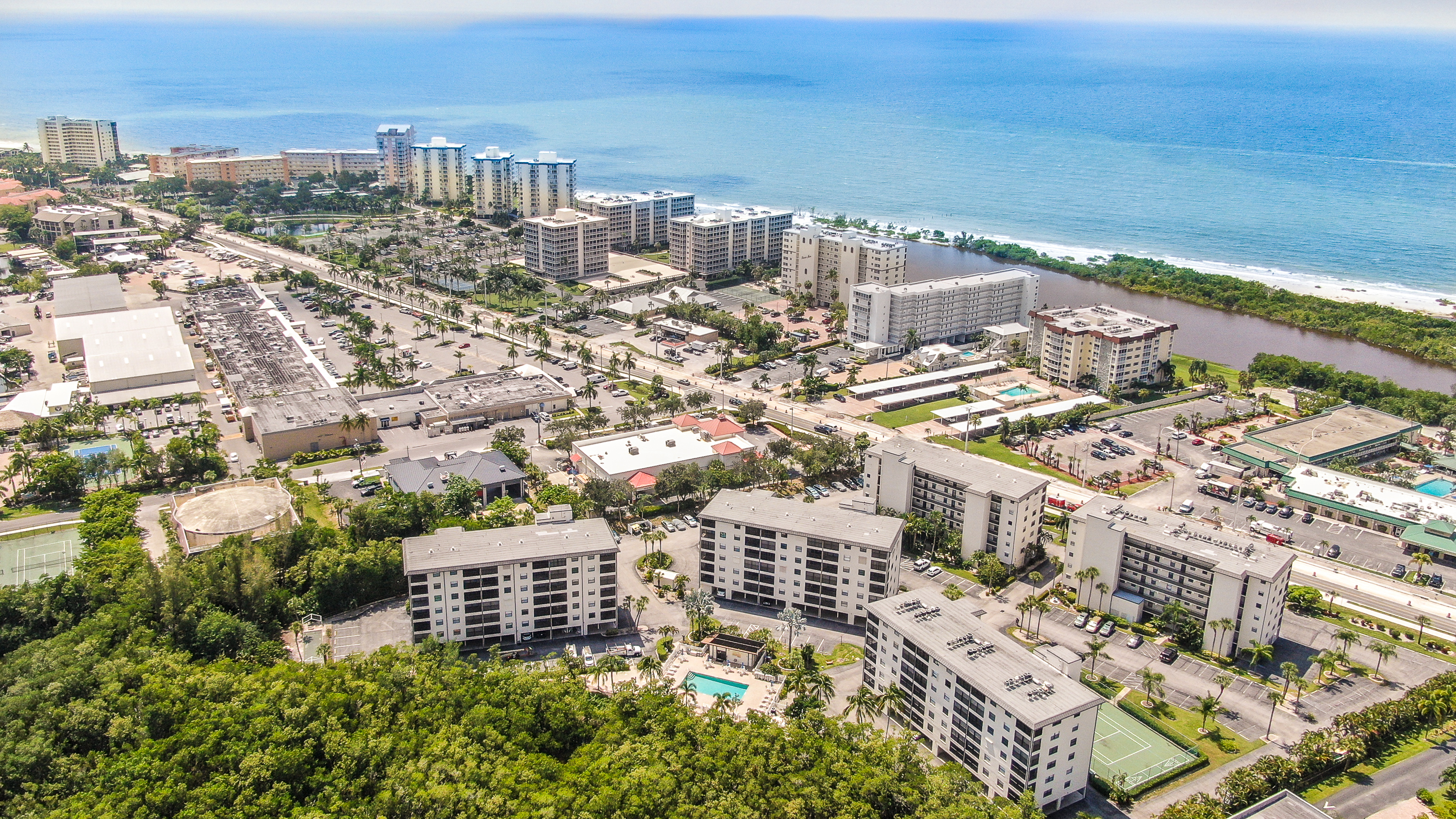 Palms and beach view