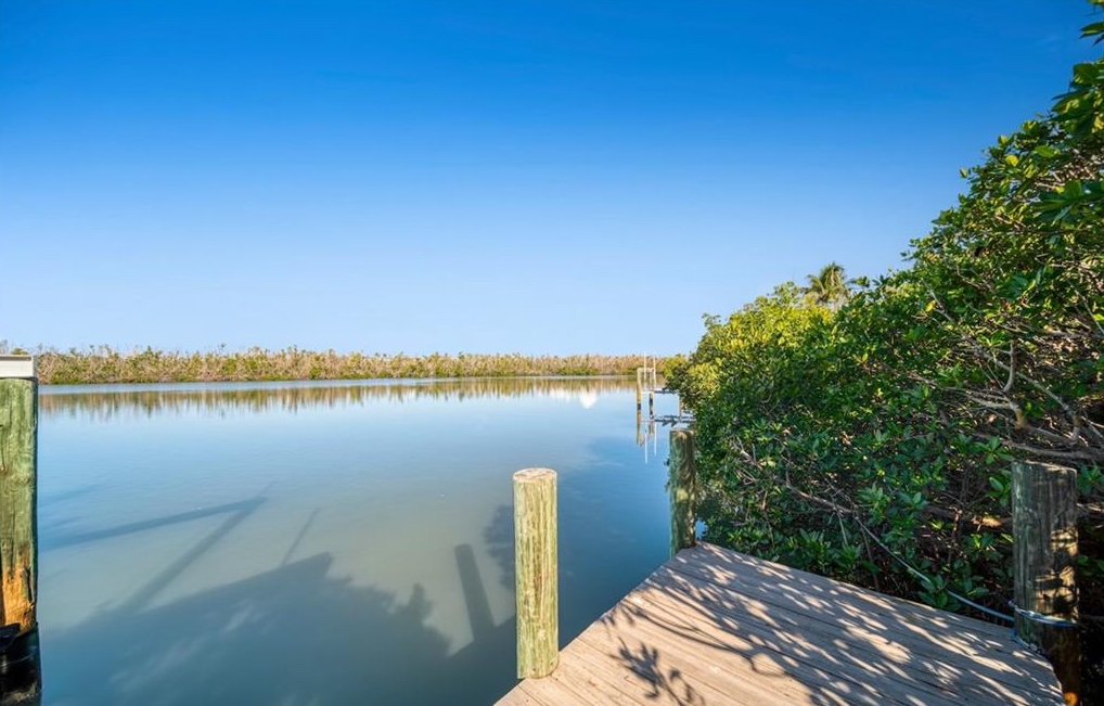Palms and beach view