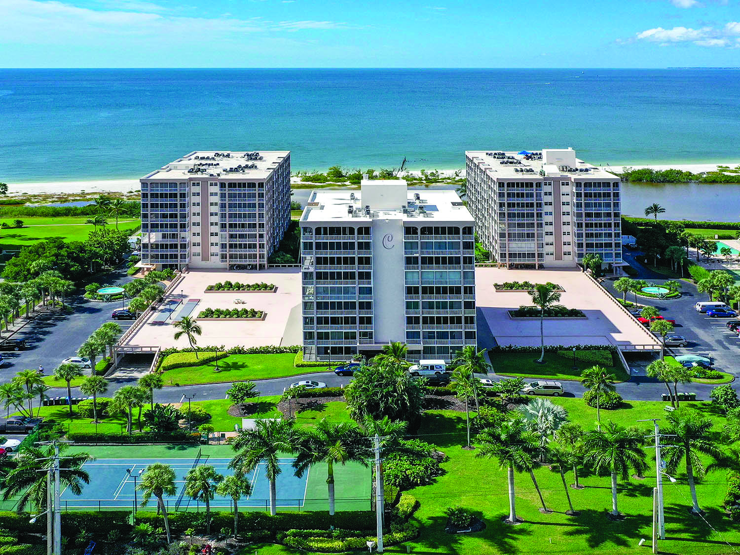 Palms and beach view