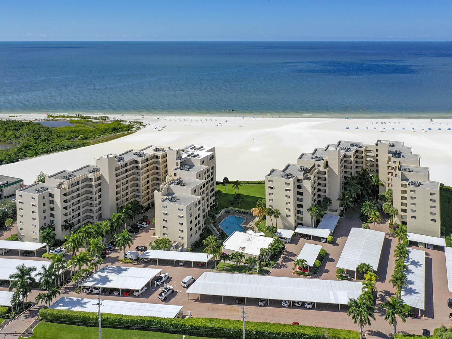 Palms and beach view