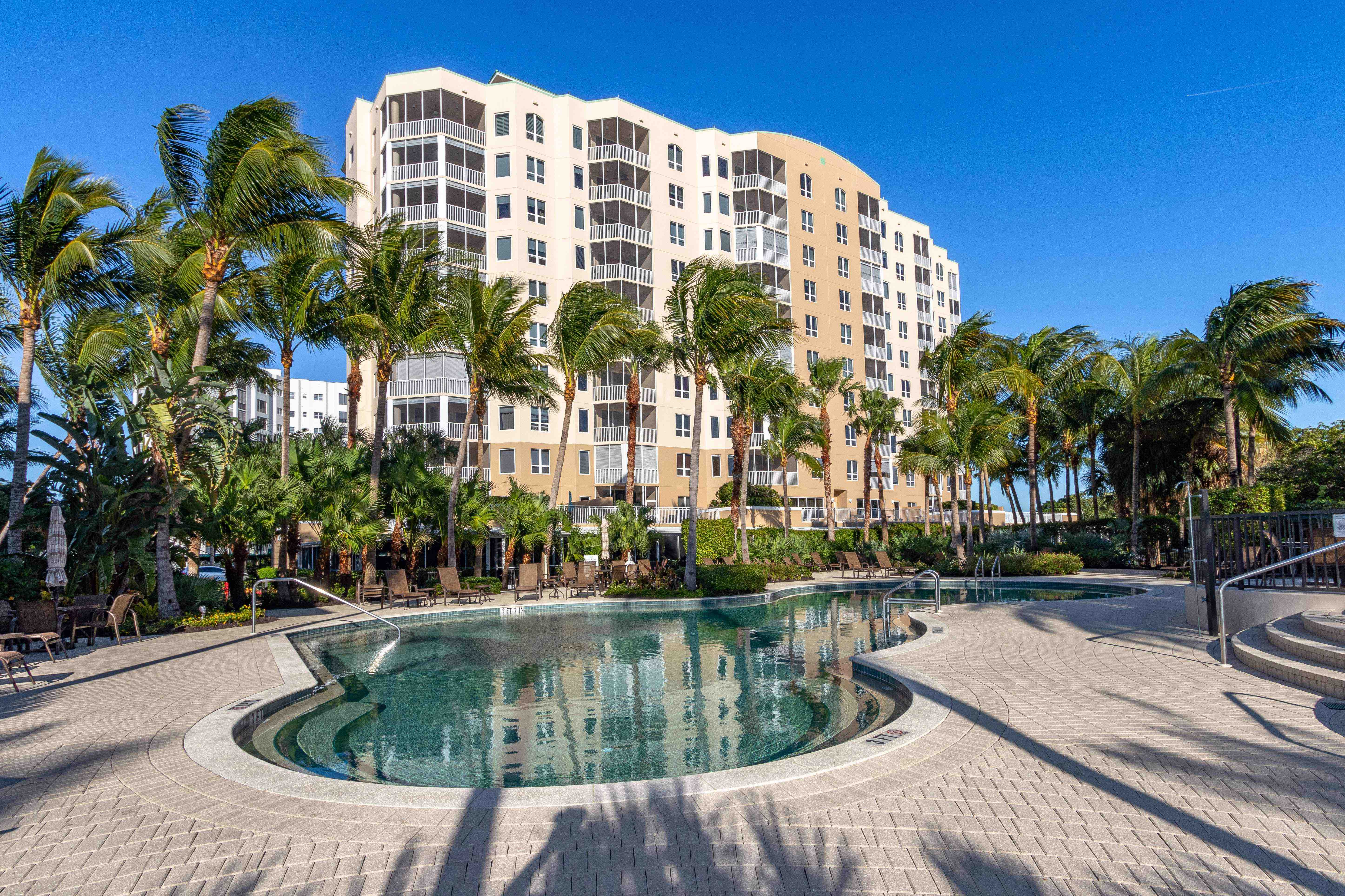 Palms and beach view