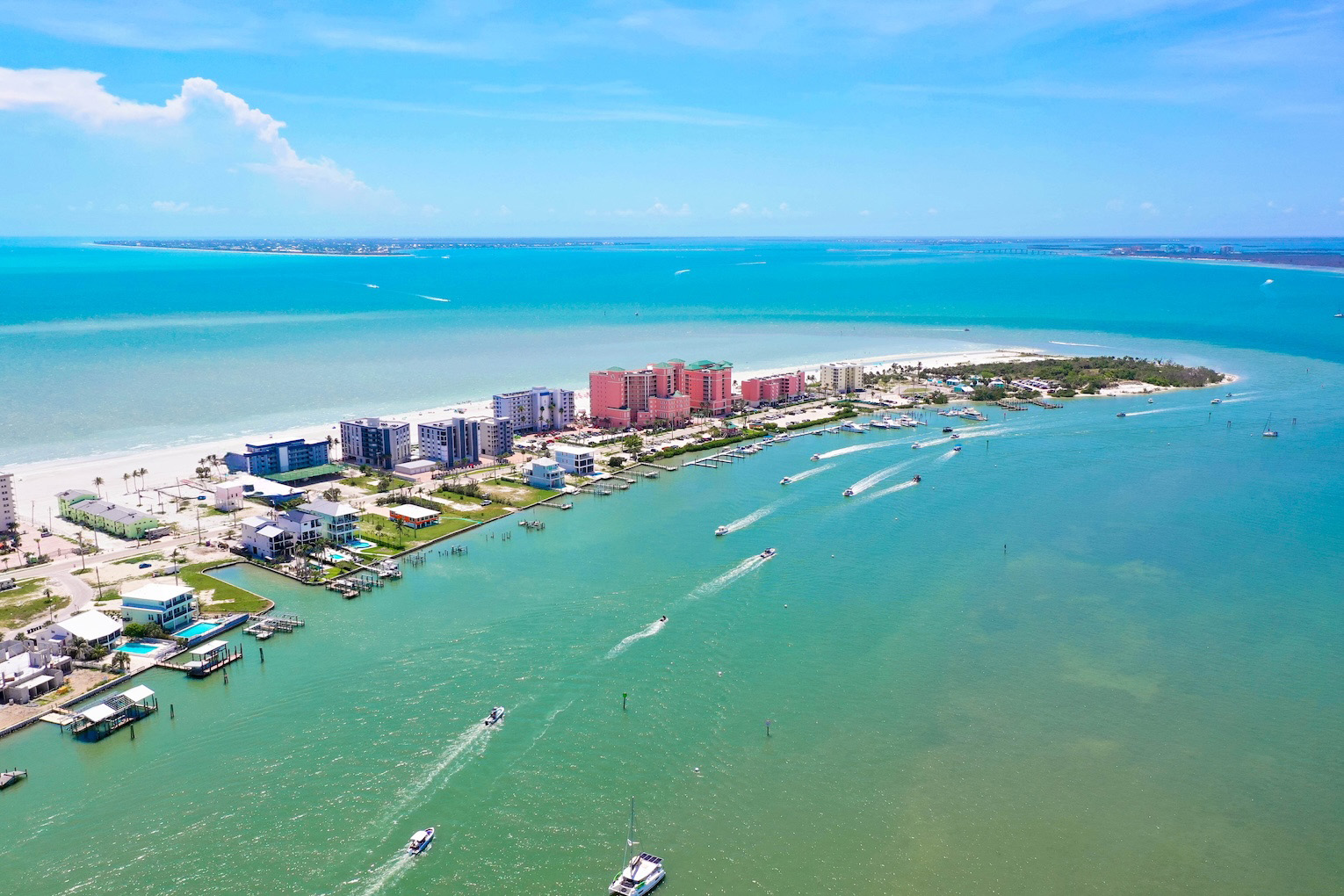 Palms and beach view