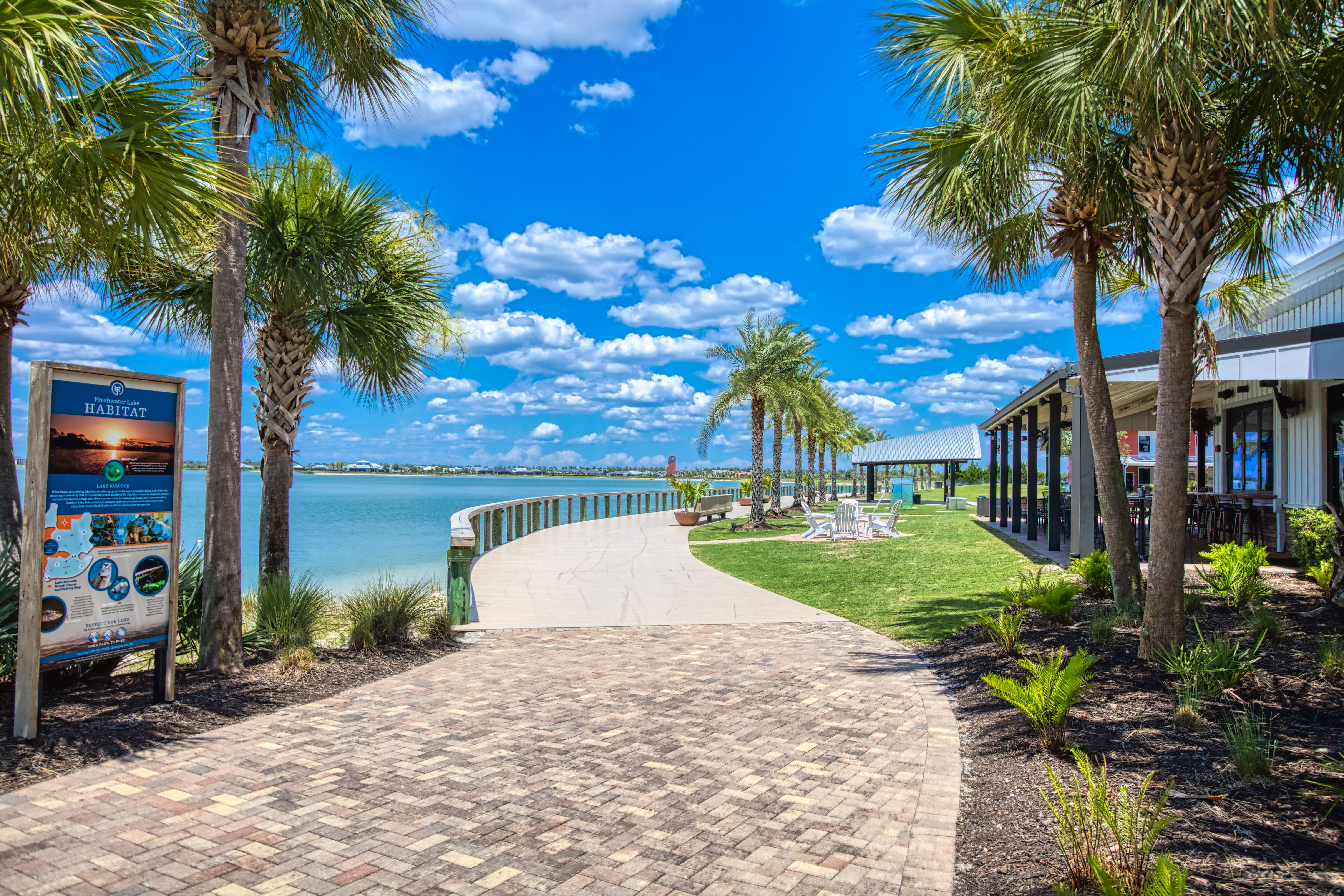 Palms and beach view