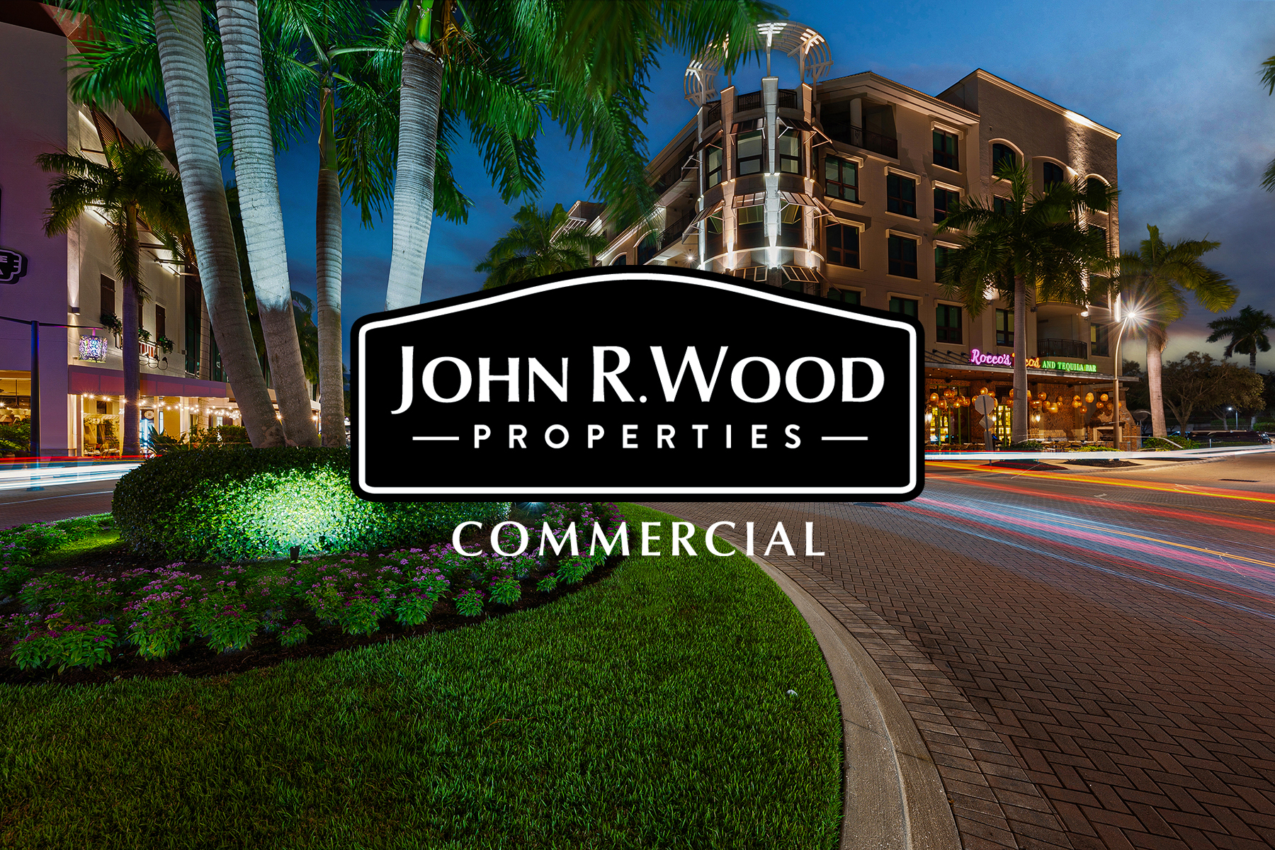 Palms and swimming pool