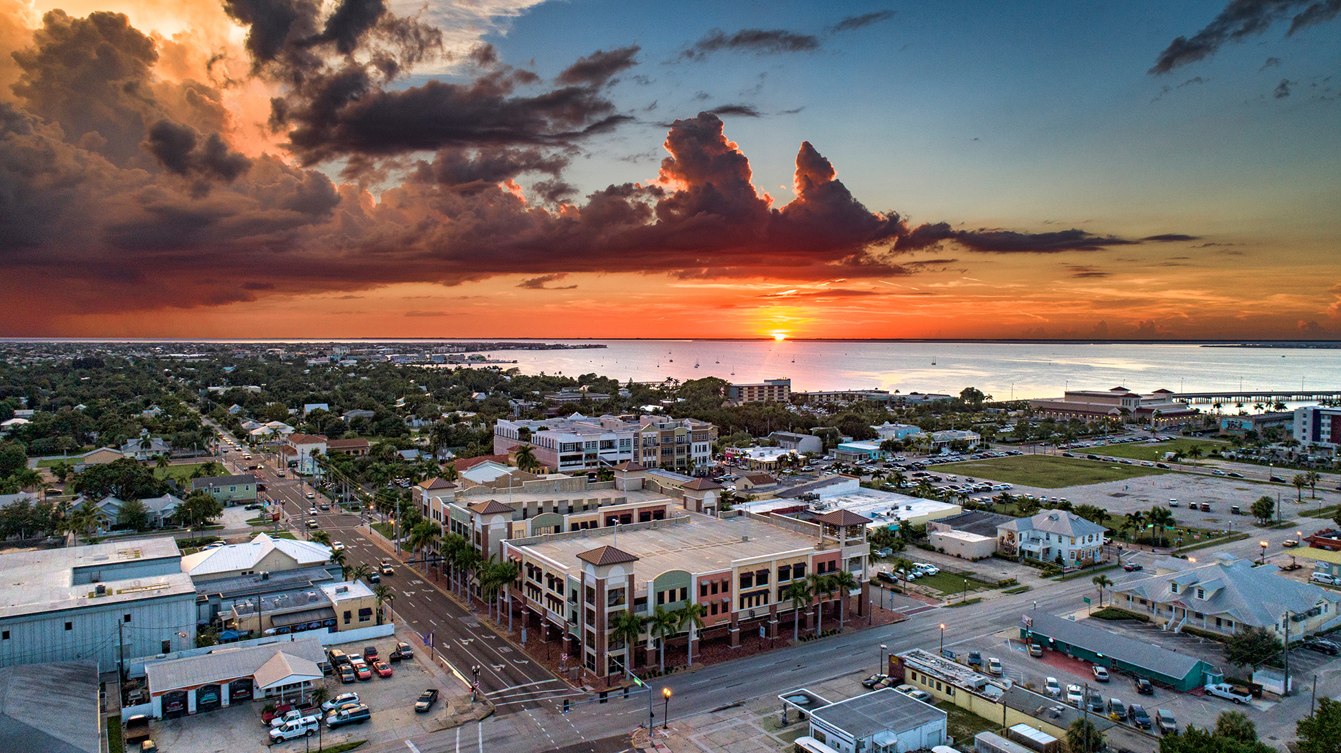 Palms and beach view