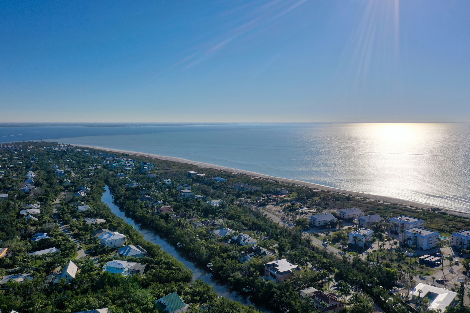 Palms and beach view