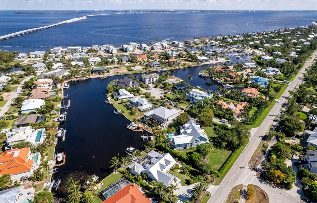 Palms and beach view