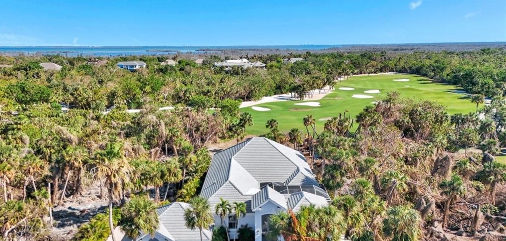 Palms and beach view